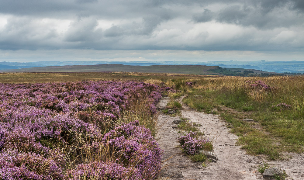 White Edge Moor White Edge Moor